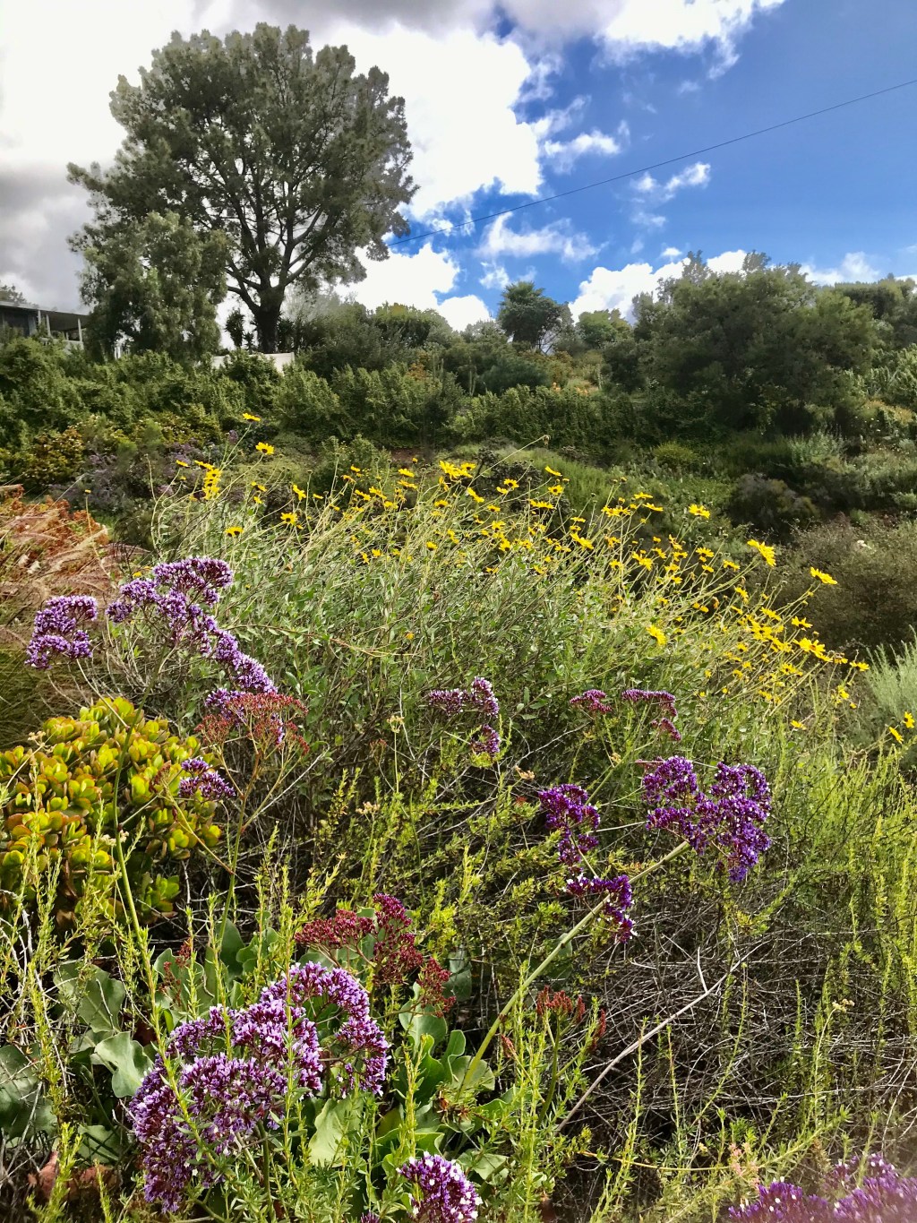 Today’s Local Hike –&nbsp;Photography