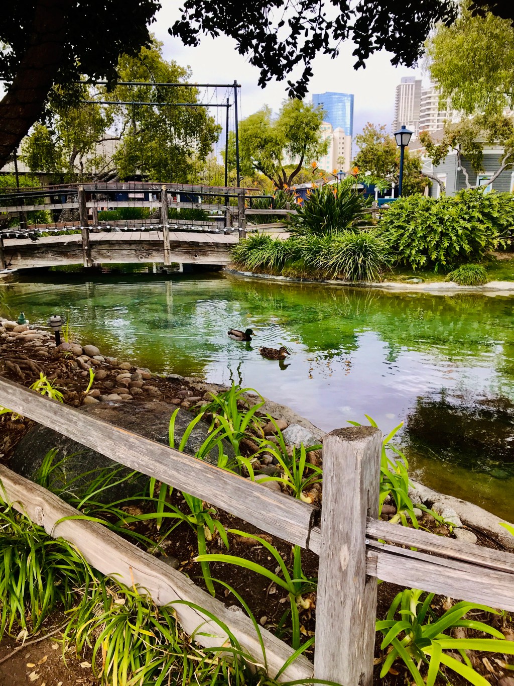 February Favorite Photos