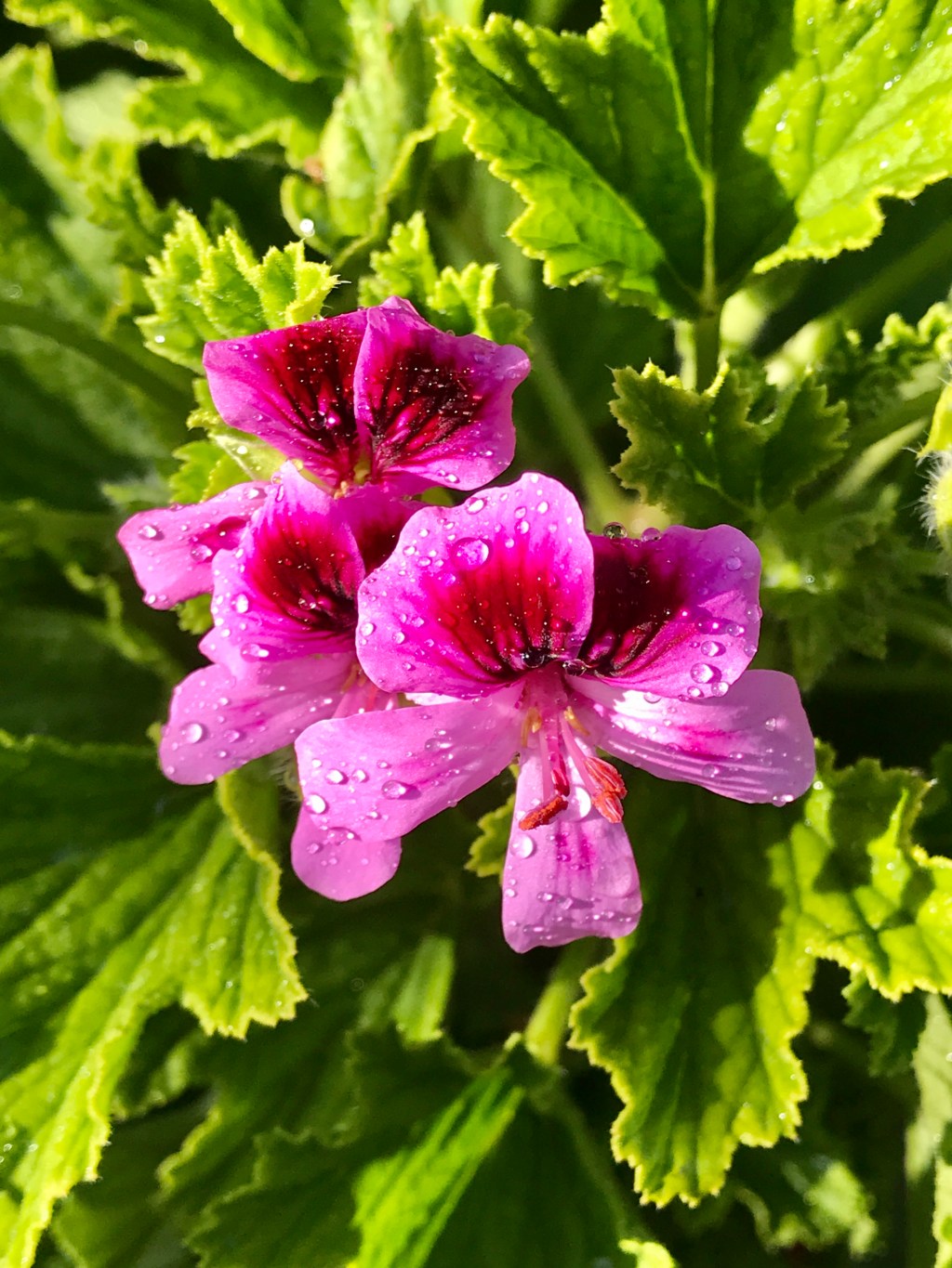 March Favorite Photos