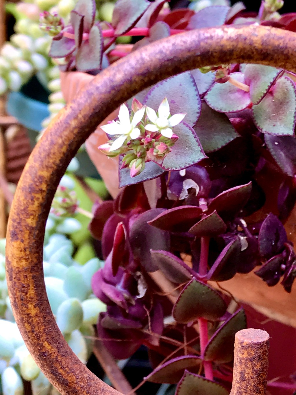 April Favorite Photos