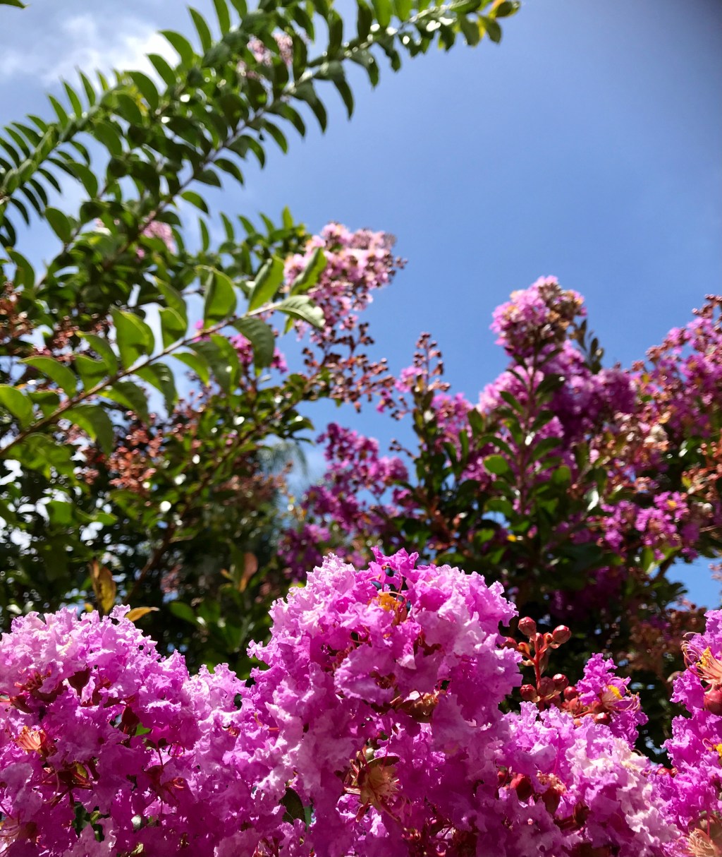 August 2021 Favorite&nbsp;Photos