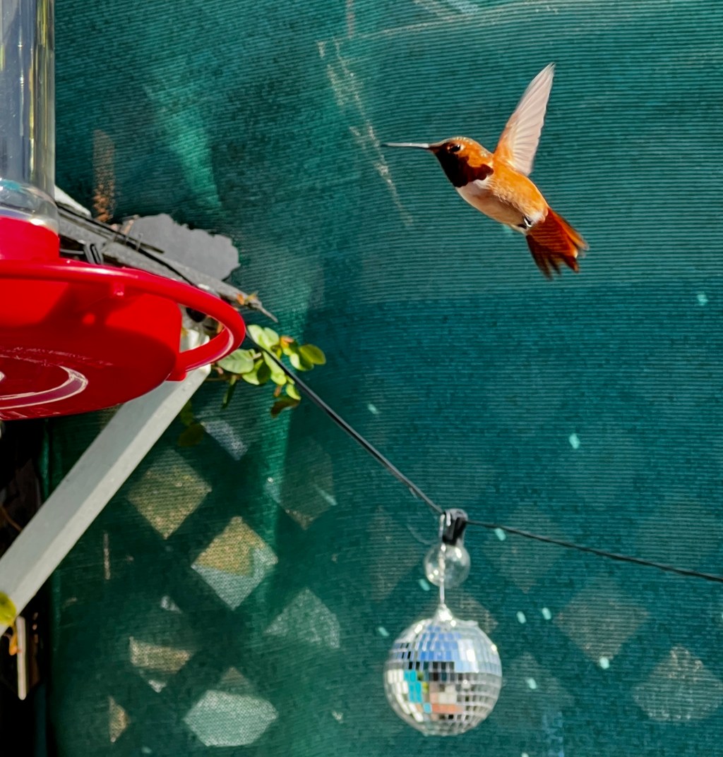 Favorite Photos From December&nbsp;2021