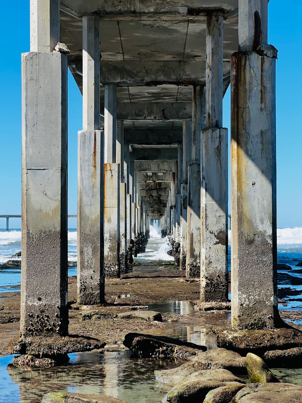 February 2022 Photos