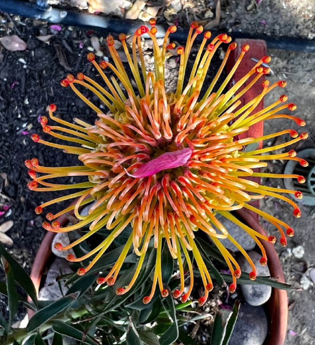 April 2022 Favorite&nbsp;Photos