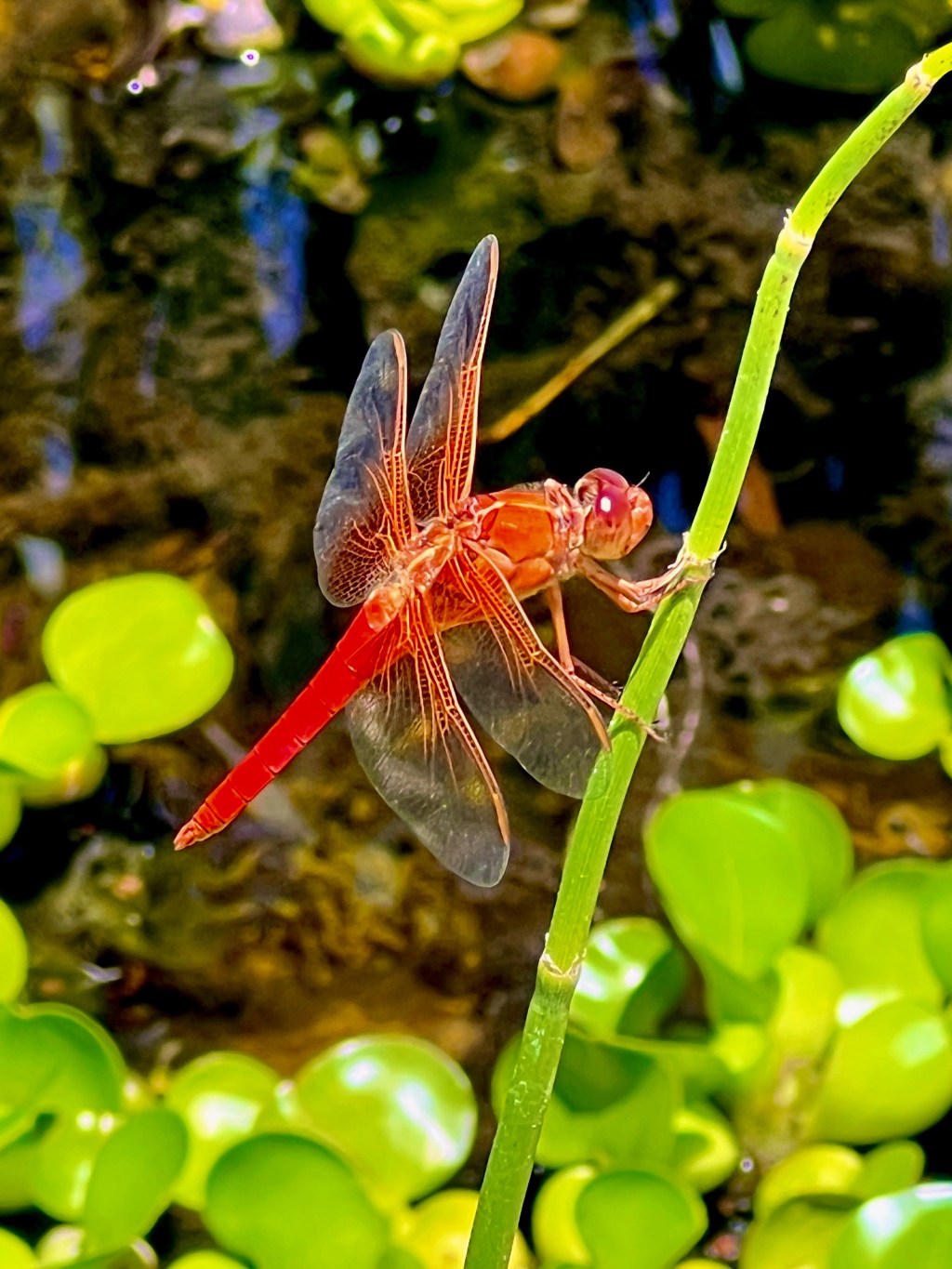 June 2022 Favorite&nbsp;Photos