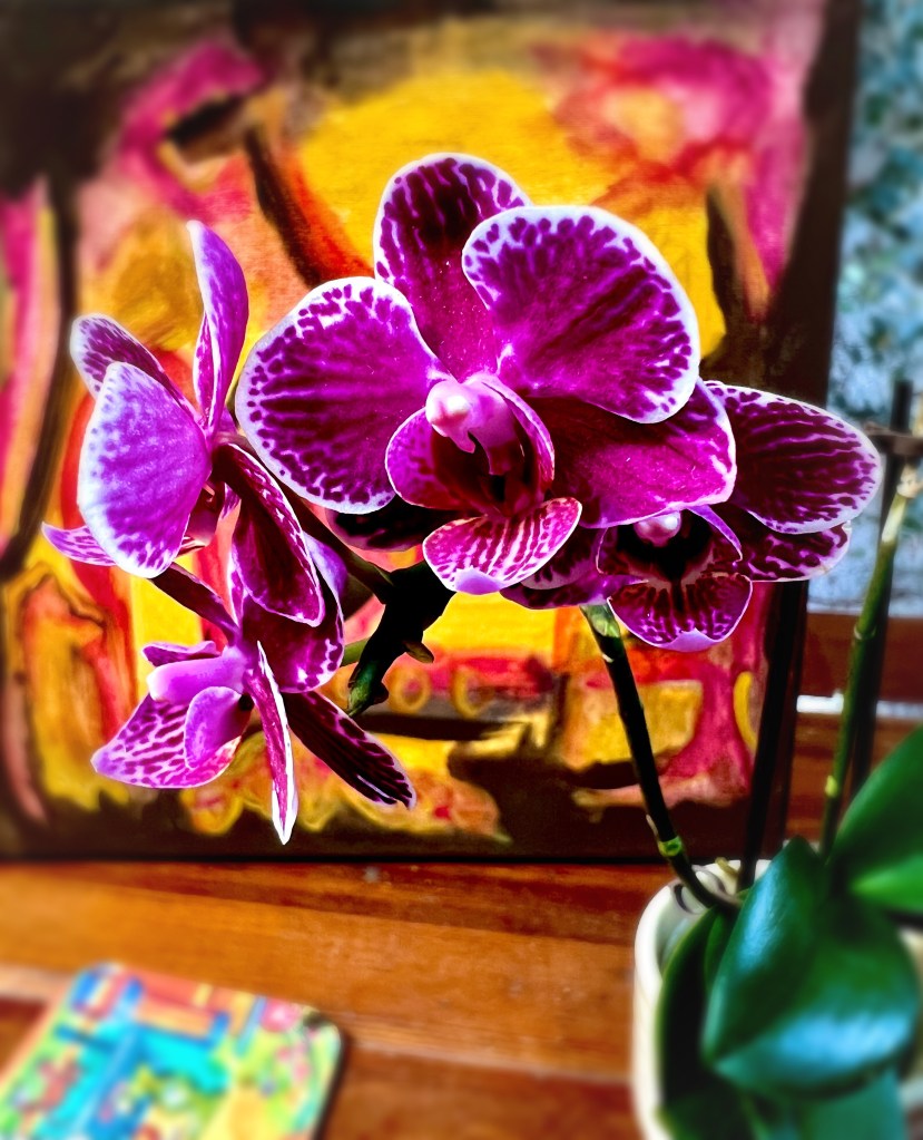 My favorite photos from September, just a few this month!