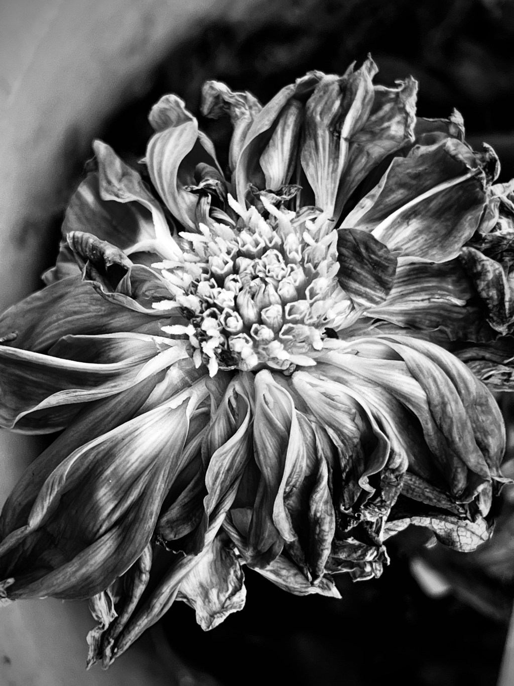 October Favorite Photos