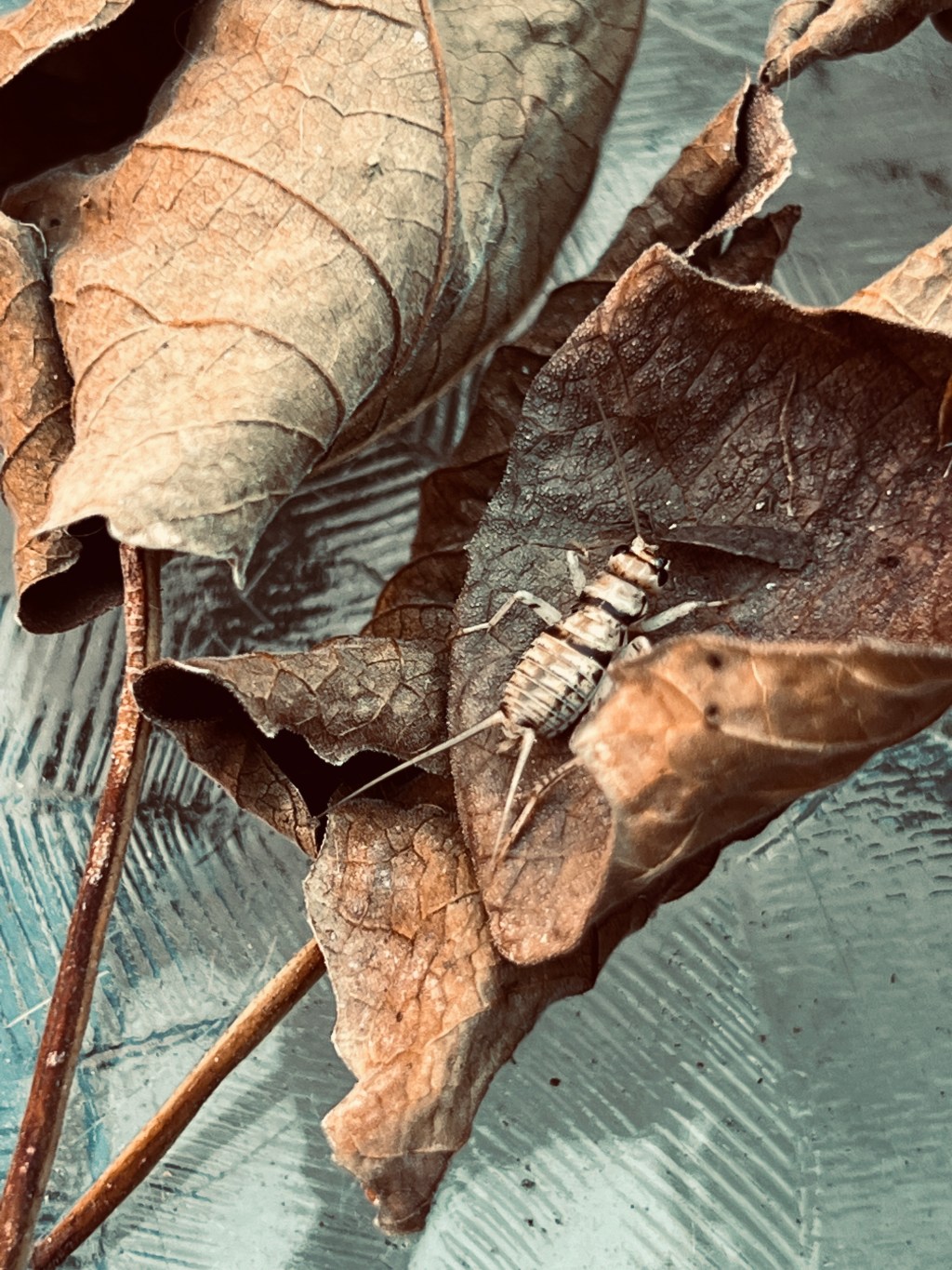 December Favorite Photos