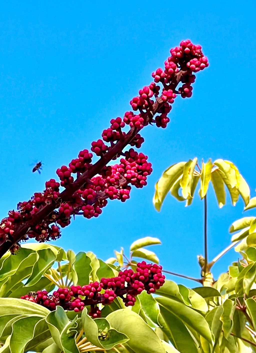 January Favorite Photos