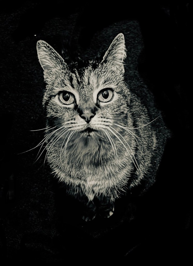 February 2023, a collection of my favorite photographs.