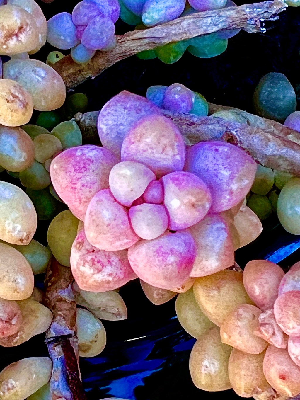 March 2023 Favorite&nbsp;Photos