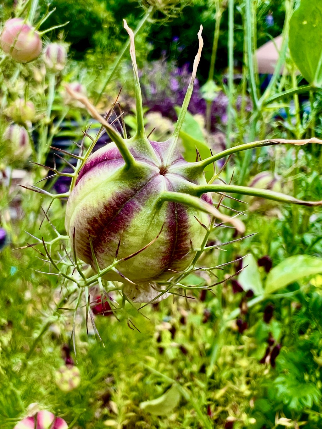 June Favorite Photos