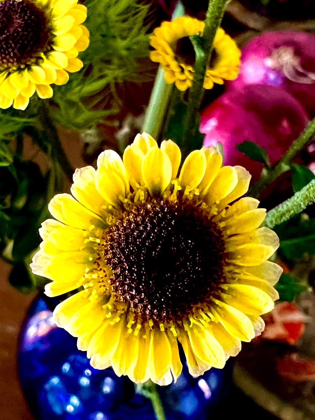 July Favorite Photos