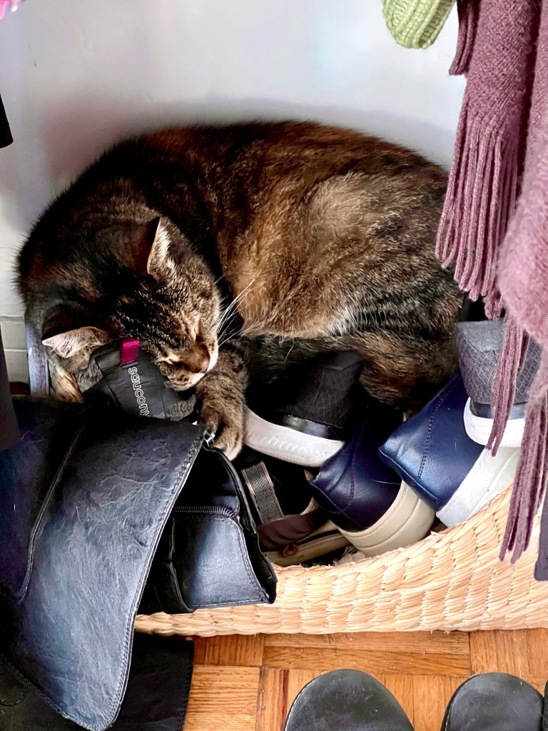 A collection of my favorite photos taken in September 2023!