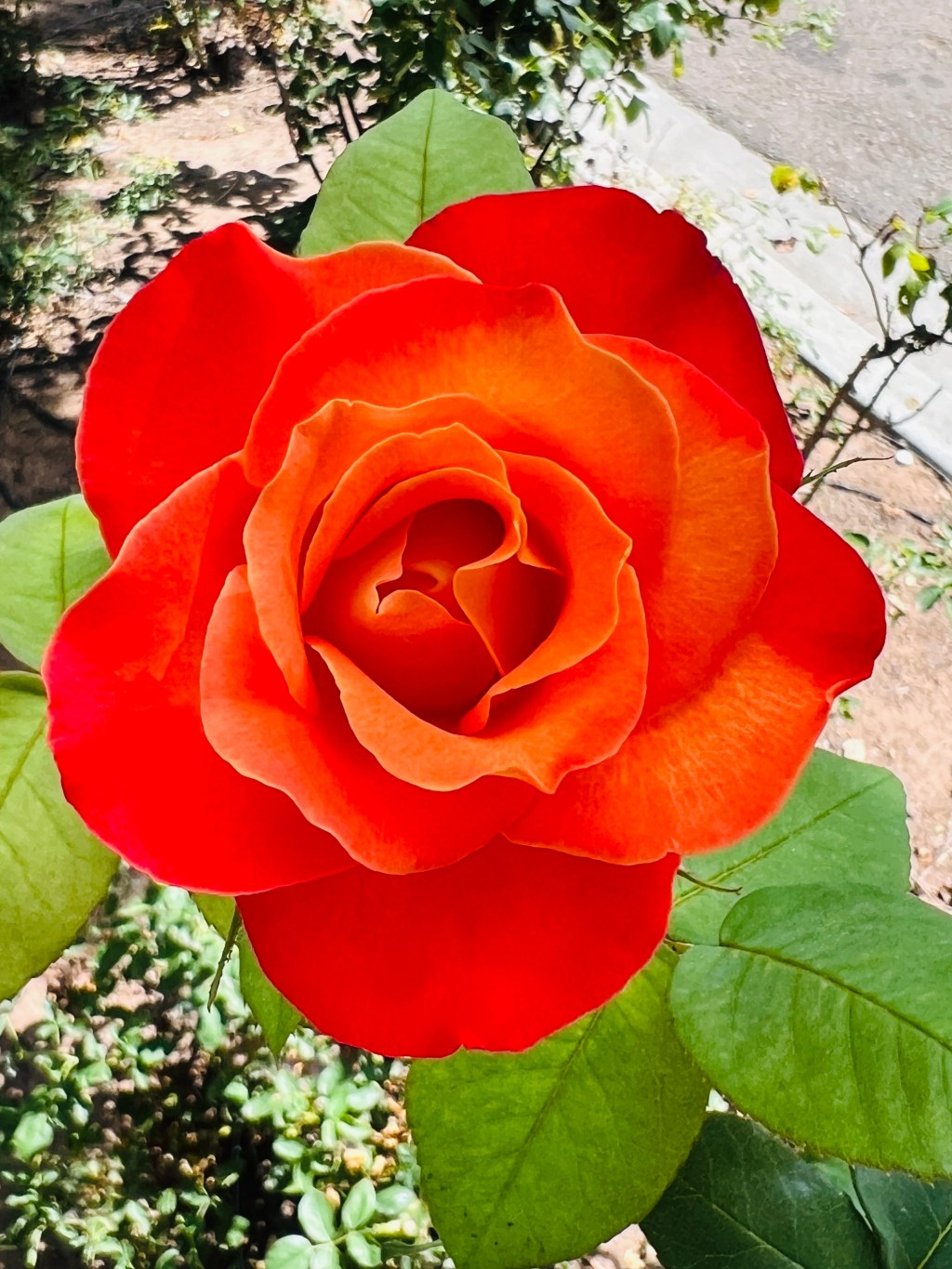 September Favorite Photos