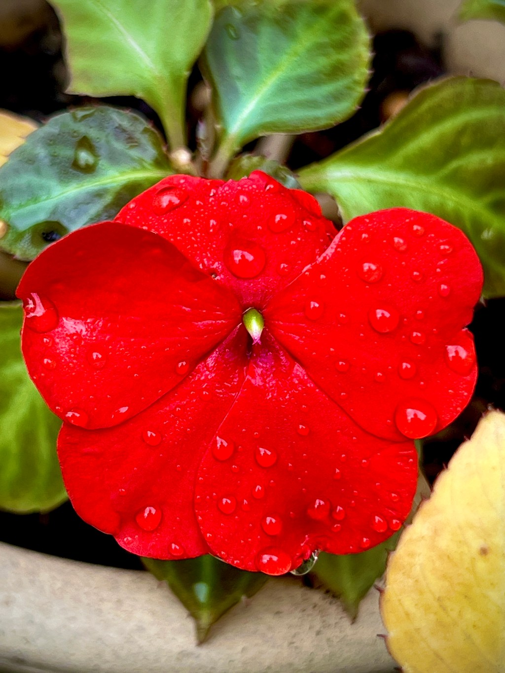 November Favorite Photos