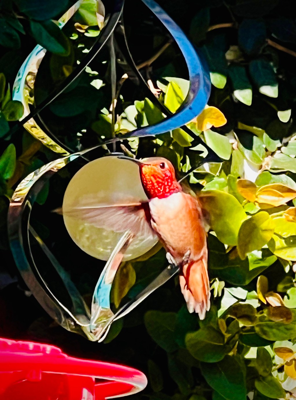 December Favorite Photos