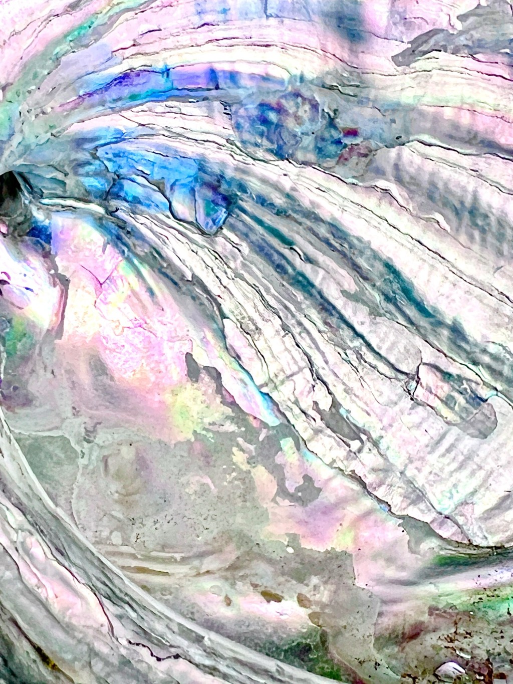 Favorite Photos – January&nbsp;2024