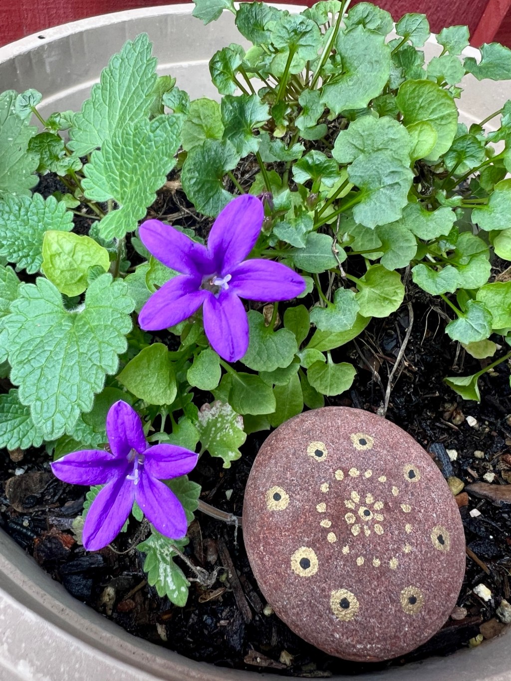 February Favorite Photos