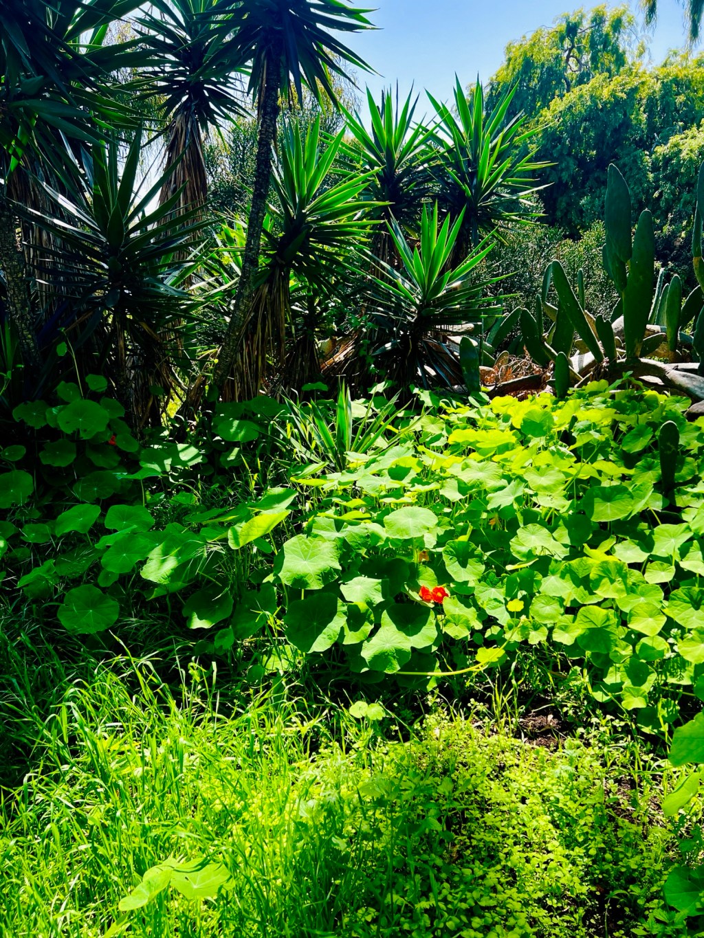 March Favorite Photos