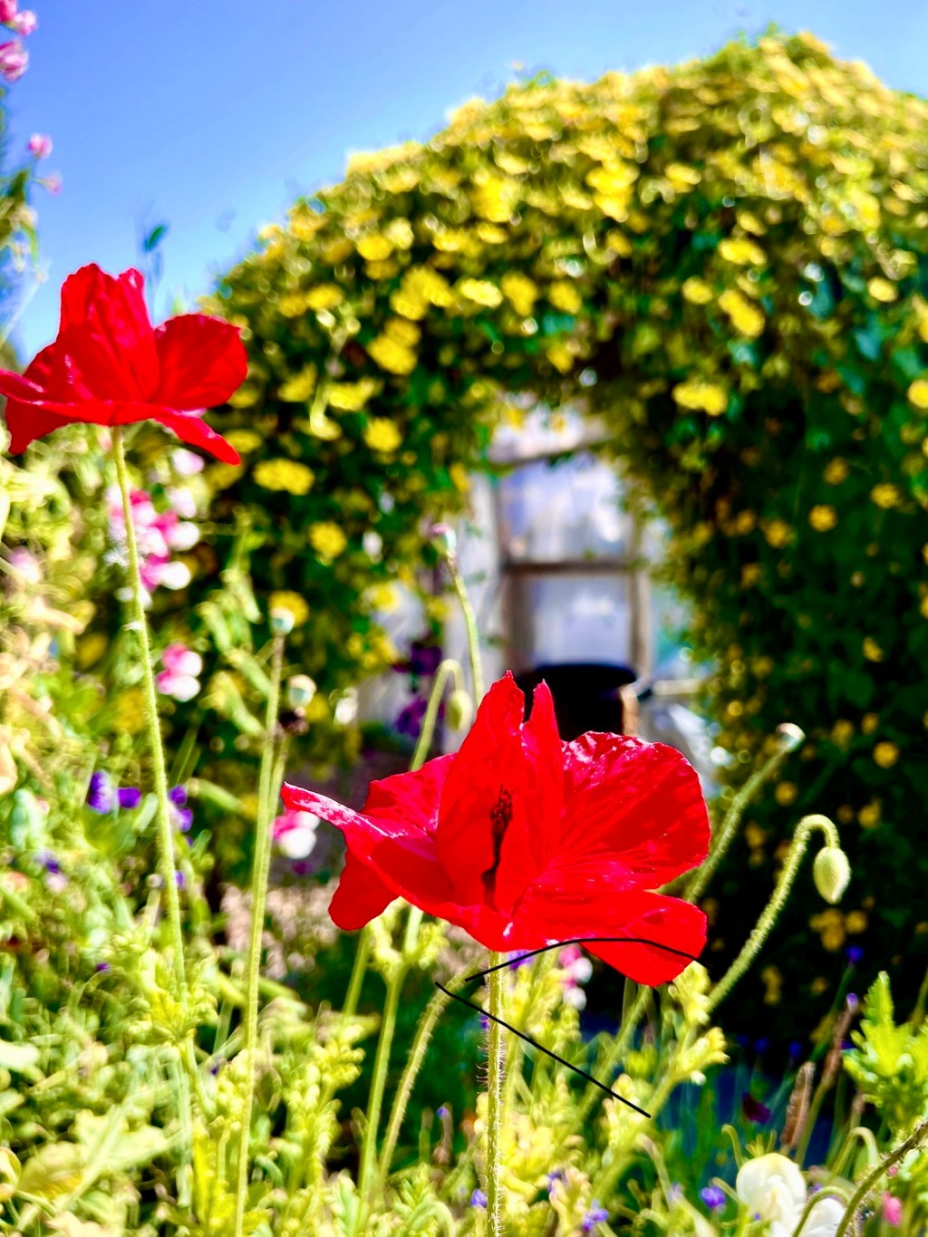 April Favorite Photos