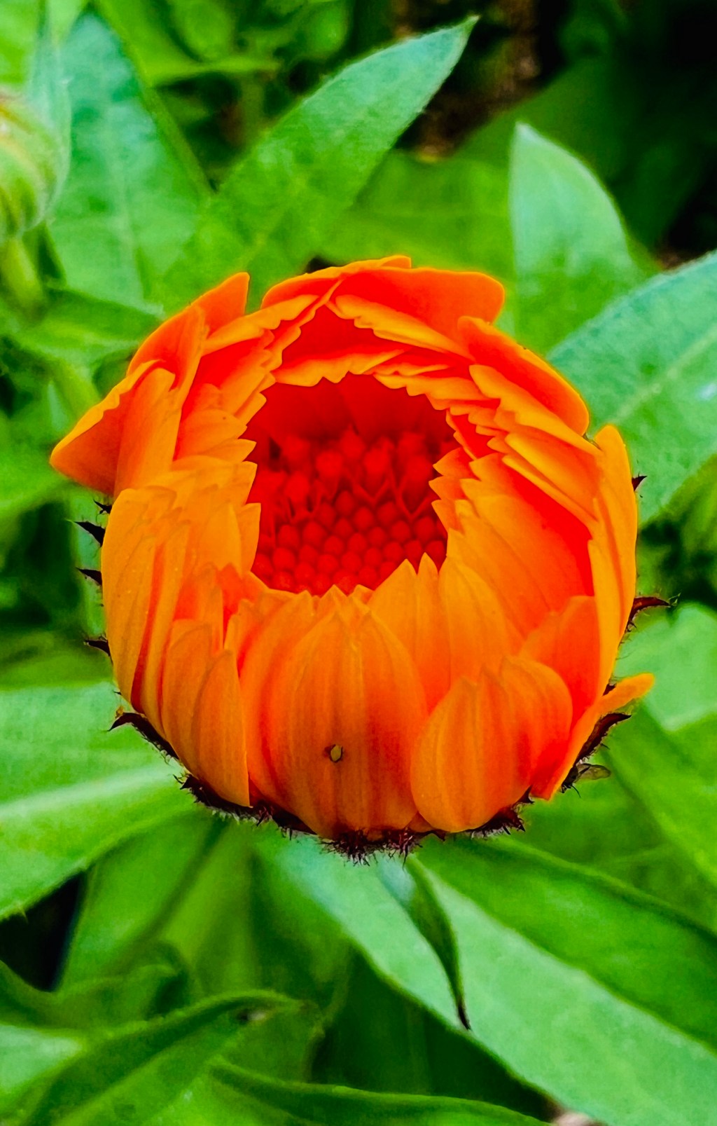 June Favorite Photos