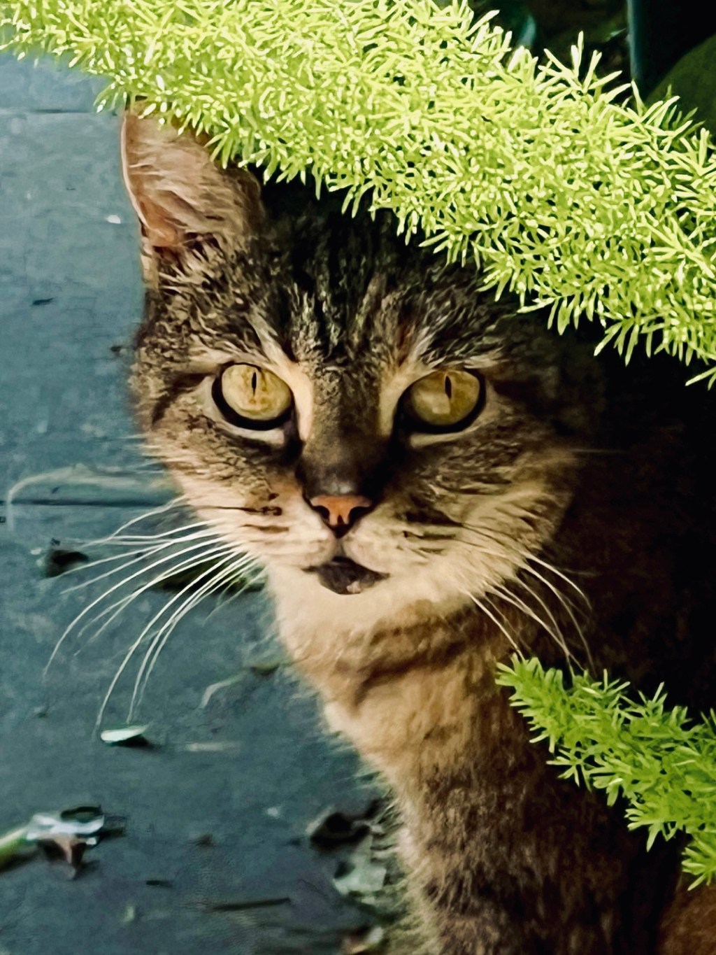 July Favorite Photos