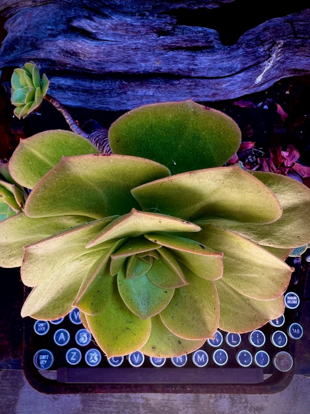 August Favorite Photos