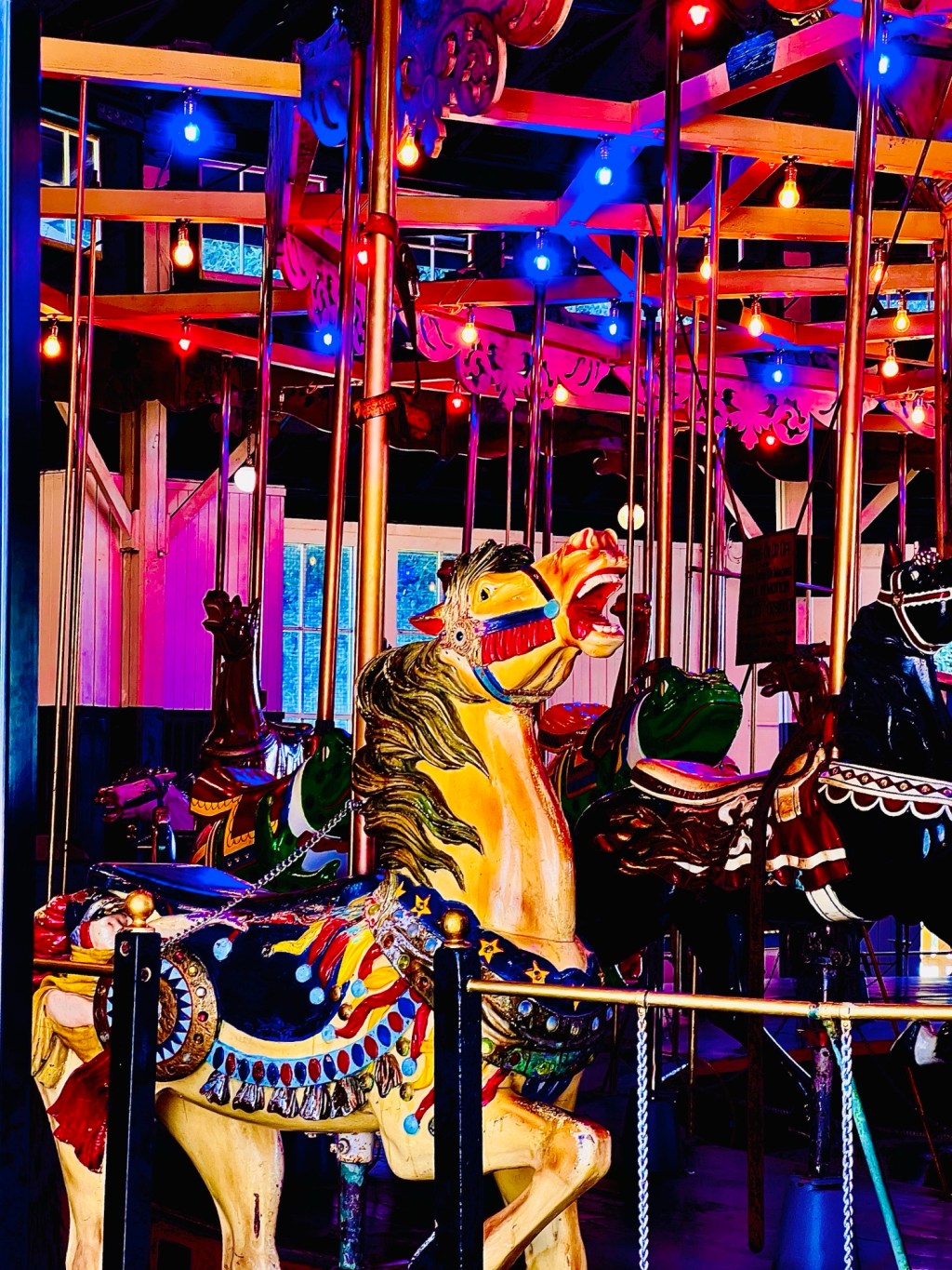 November Favorite Photos