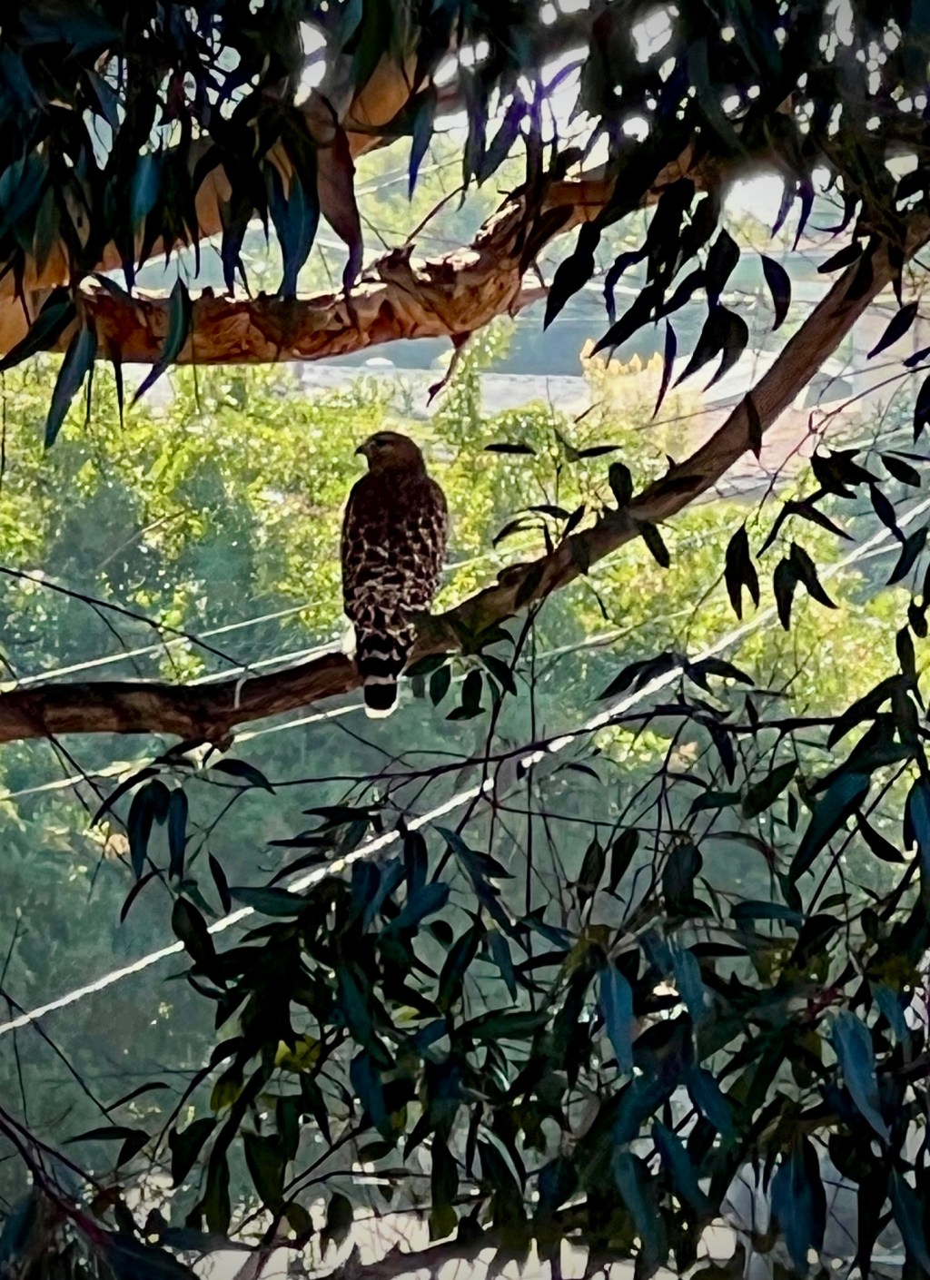 December Favorite Photos