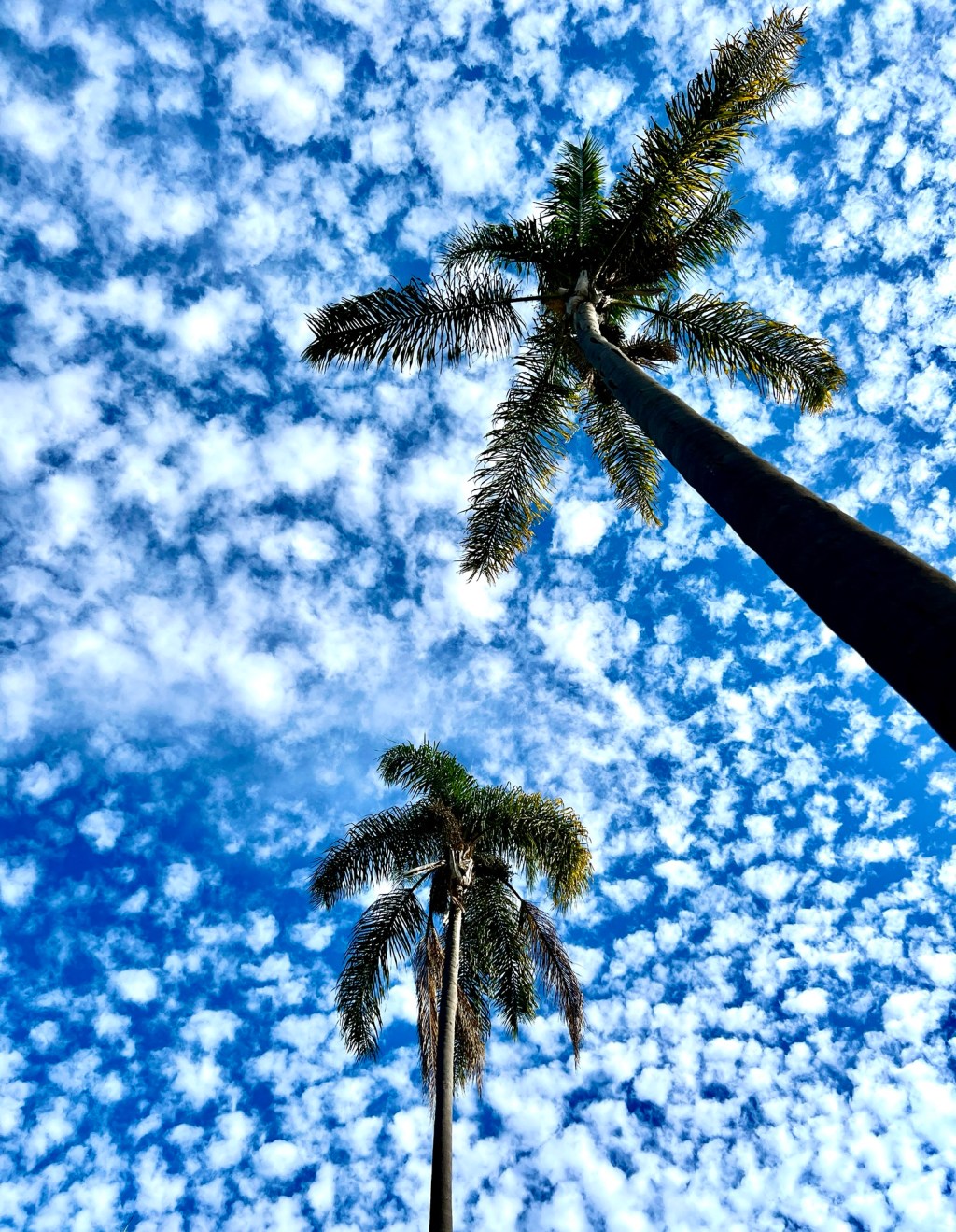 January 2025 Favorite&nbsp;Photos