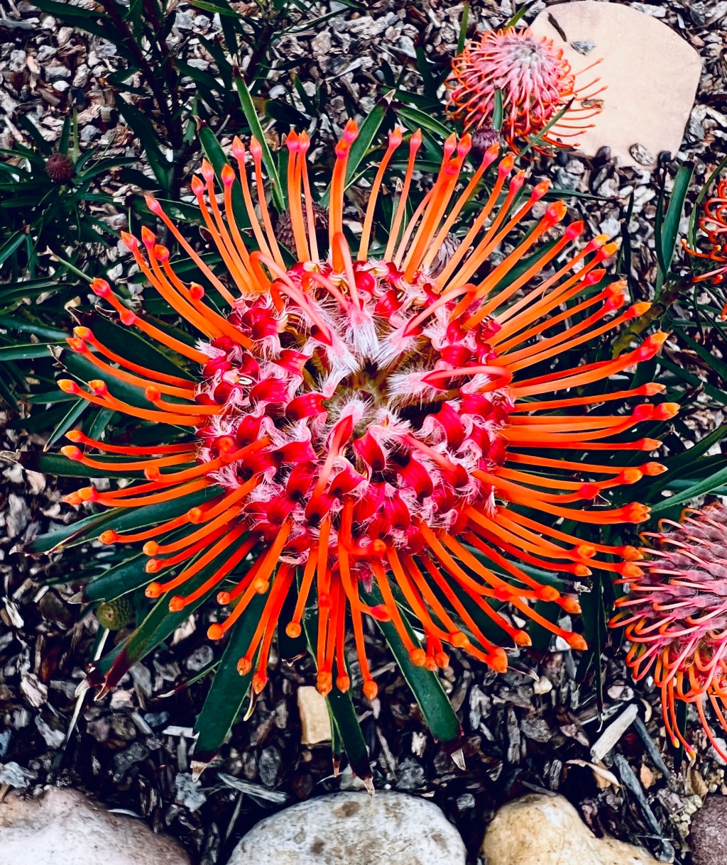 February 2025 Favorite&nbsp;Photos