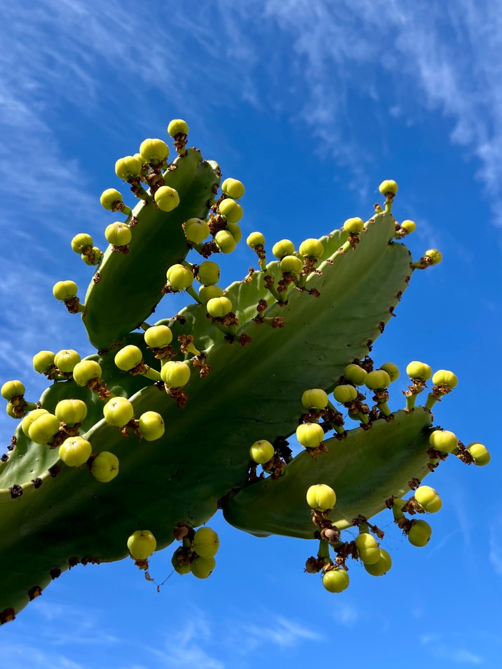 March Favorite Photos