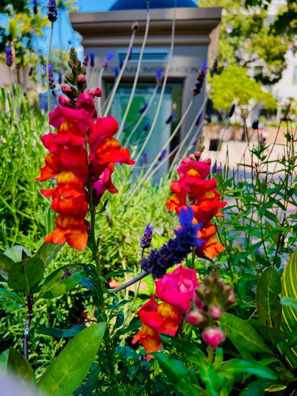 April 2025 Favorite&nbsp;Photos