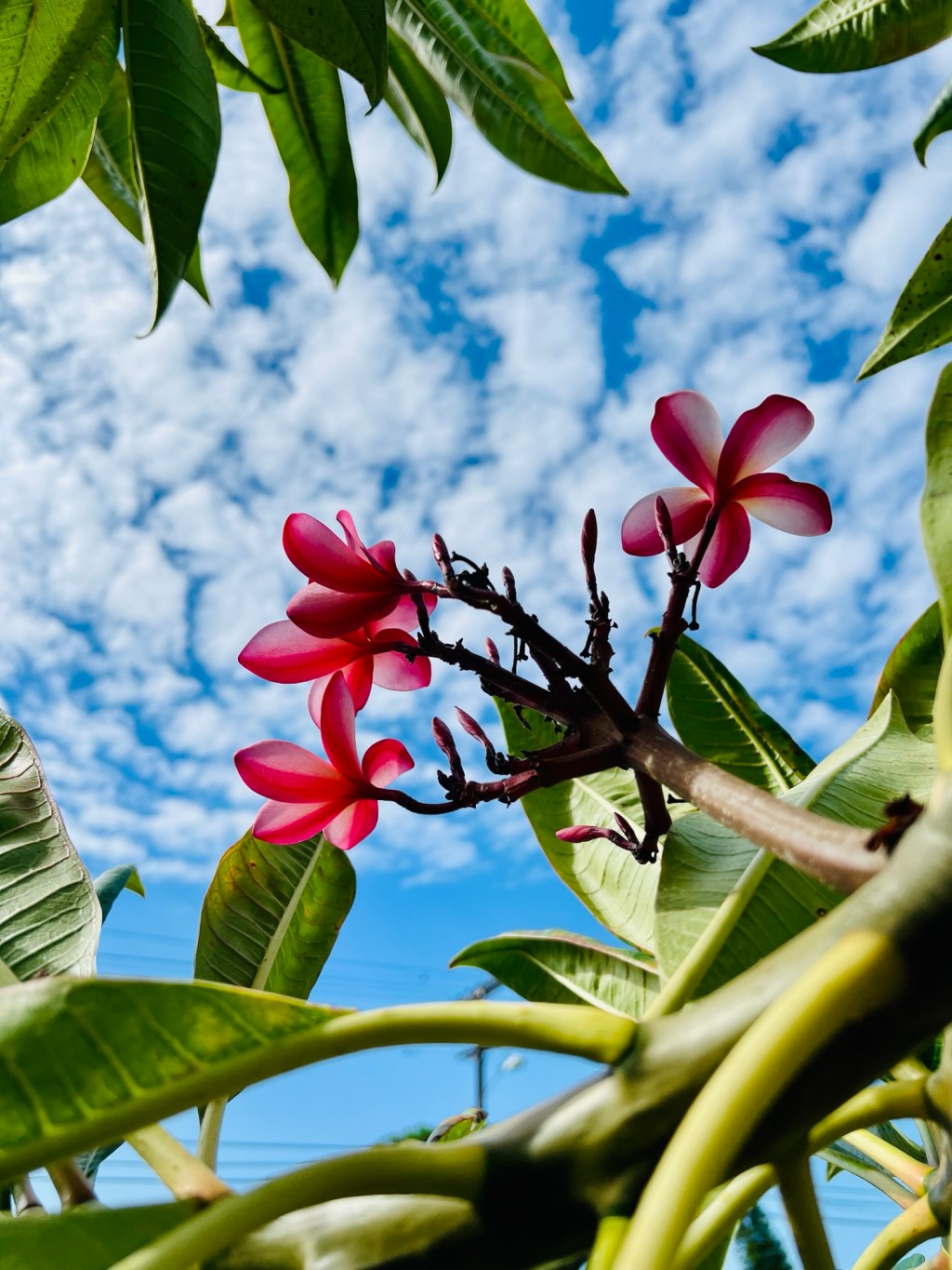 September 2025 Favorite&nbsp;Photos