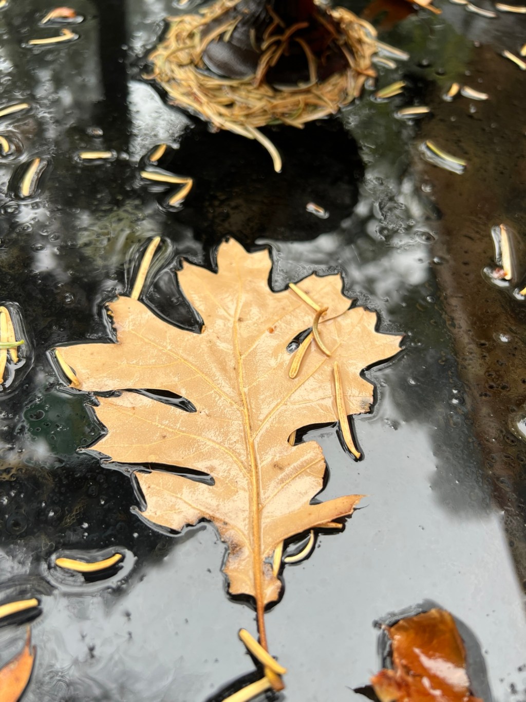 October Favorite Photos