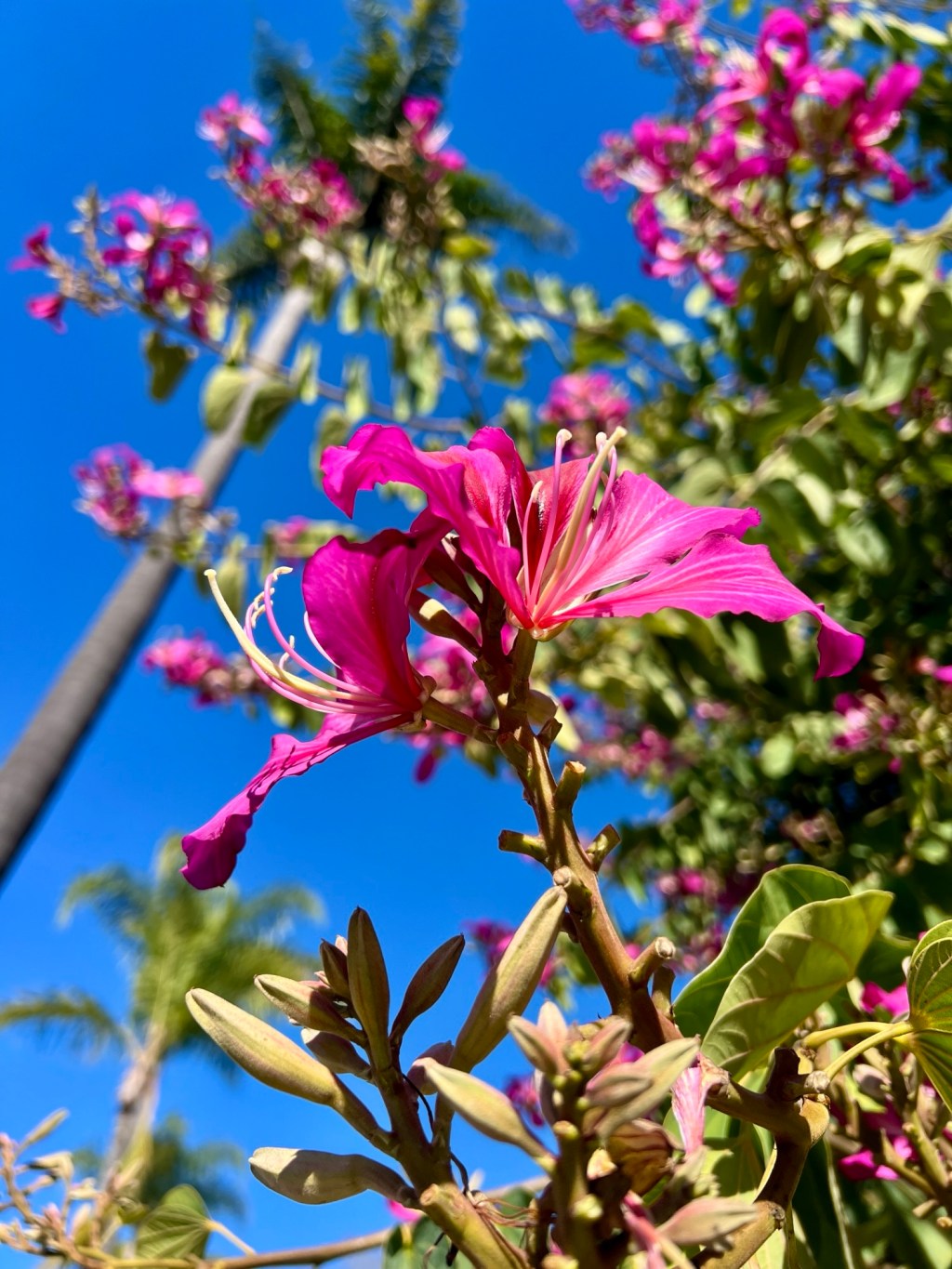 December 2025 Favorite&nbsp;Photos