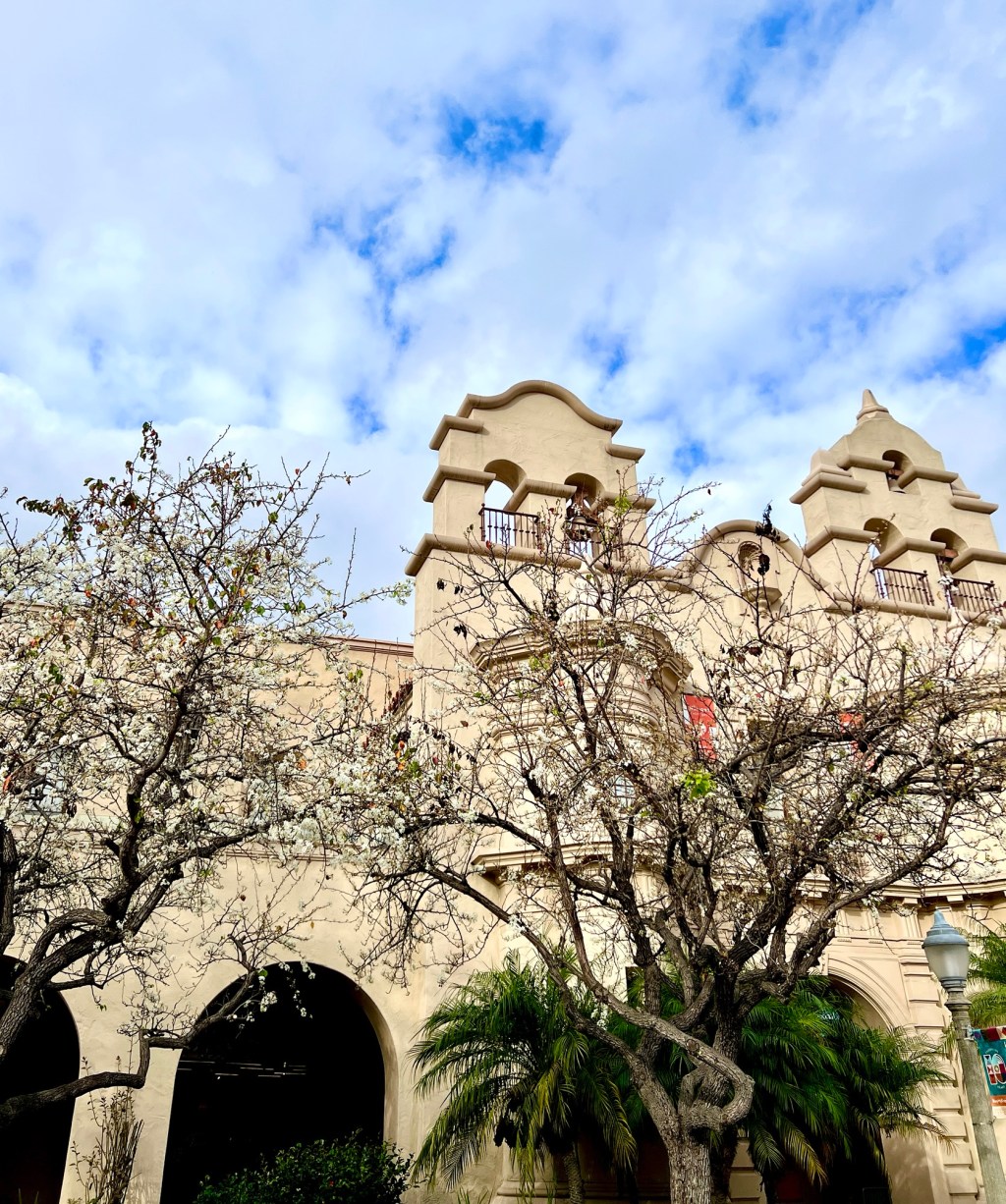 January Favorite Photos