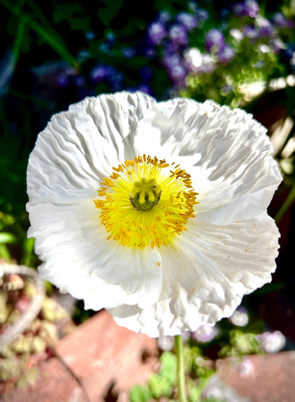 March Favorite Photos